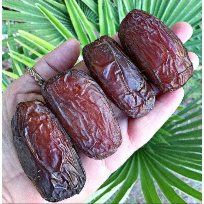 Kurma medjool Palestine